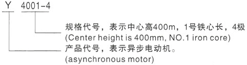 西安泰富西玛Y系列(H355-1000)高压吉木乃三相异步电机型号说明